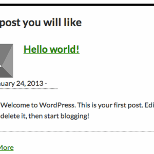 worpdress query query standard